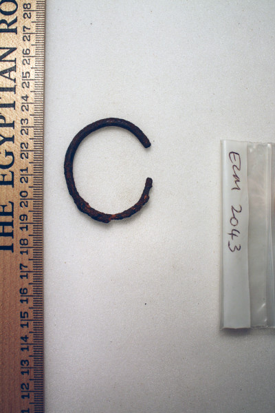 ECM.2043-2010-A image ECM.2043-2010-A