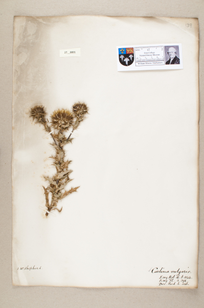 NHM_HH_27.1-2010 image NHM_HH_27.1-2010