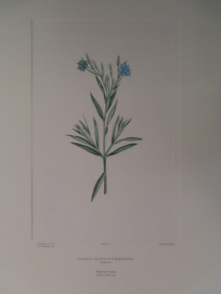 image FDA-E.2916_10_22-2016-A