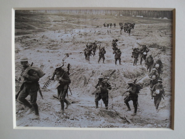 ECL-O.98-2014 image ECL-O.98-2014