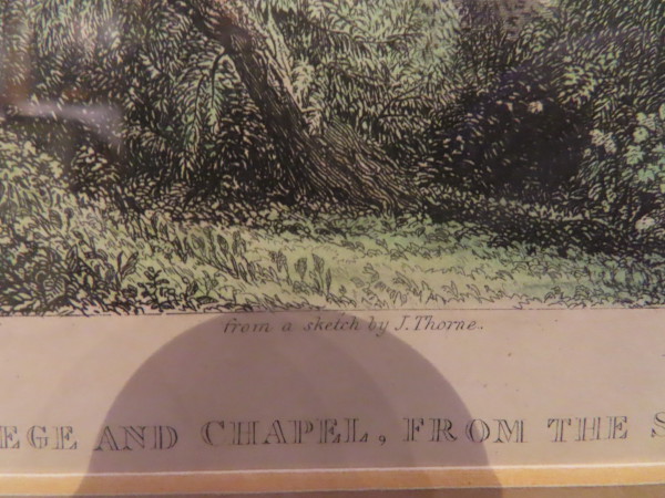 FDA-E.3239-2023-D image FDA-E.3239-2023-D