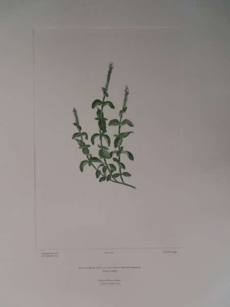 FDA-E.2916_12_5-2016-A image FDA-E.2916_12_5-2016-A