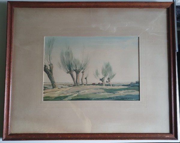 FDA-D.1713-2023-E image FDA-D.1713-2023-E