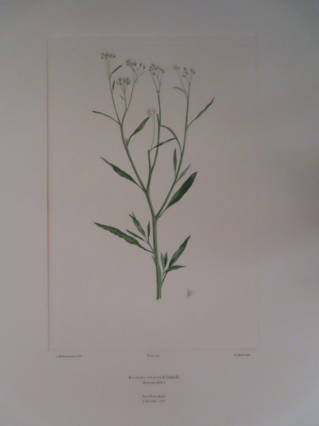 image FDA-E.2916_16_13-2016-A