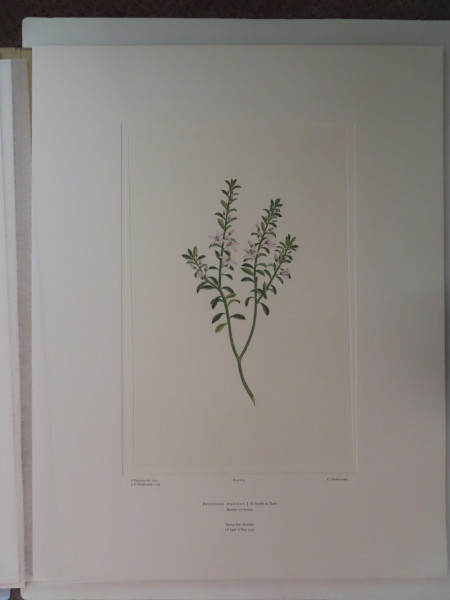 image FDA-E.2916_2_13-2016