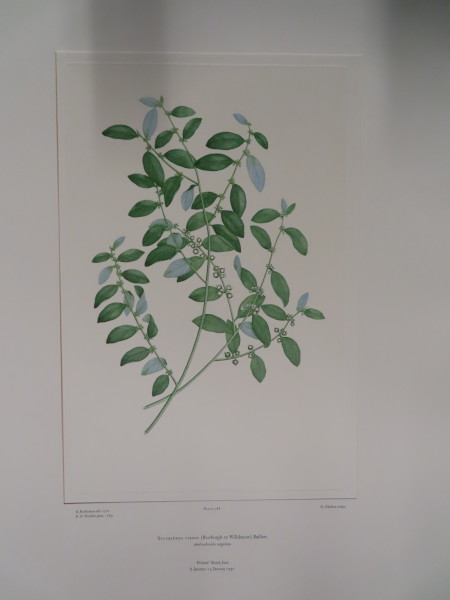 image FDA-E.2916_18_16-2016