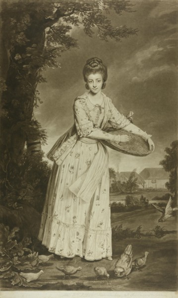 FDA-E.1379-2014 image FDA-E.1379-2014