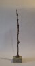 image FDA-Sc.244-2026-D