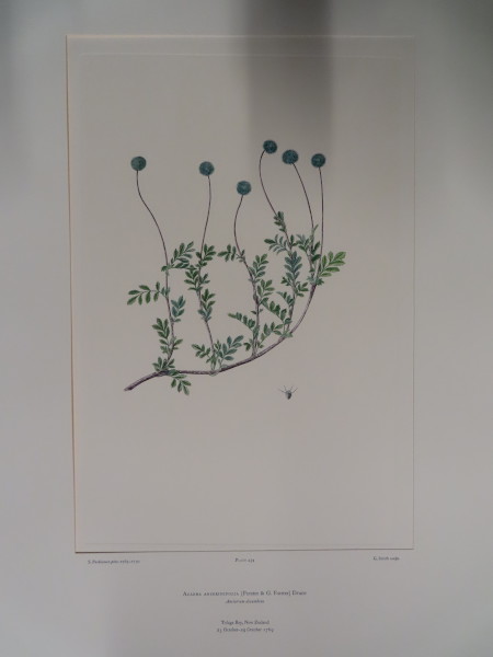 FDA-E.2916_21_14-2016-A image FDA-E.2916_21_14-2016-A