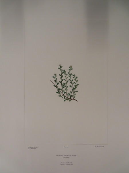 FDA-E.2916_23_15-2016-A image FDA-E.2916_23_15-2016-A