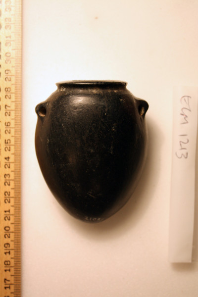 ECM.1213-2010-A image ECM.1213-2010-A