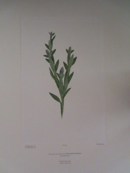 image FDA-E.2916_8_7-2016