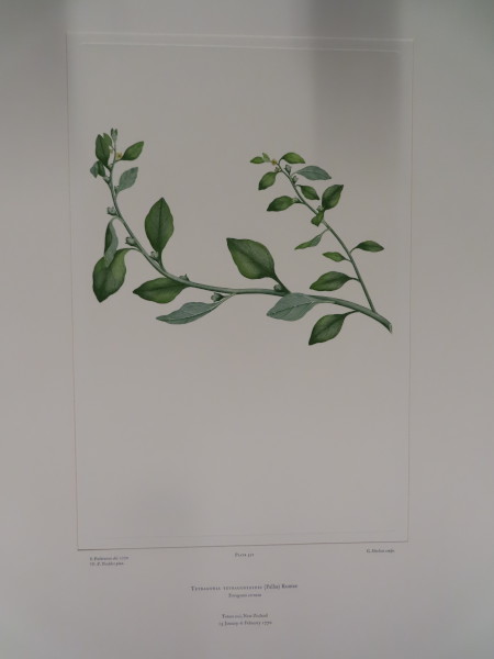 FDA-E.2916_25_20-2016 image FDA-E.2916_25_20-2016