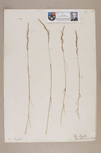 NHM_HH_37.21-2010 image NHM_HH_37.21-2010