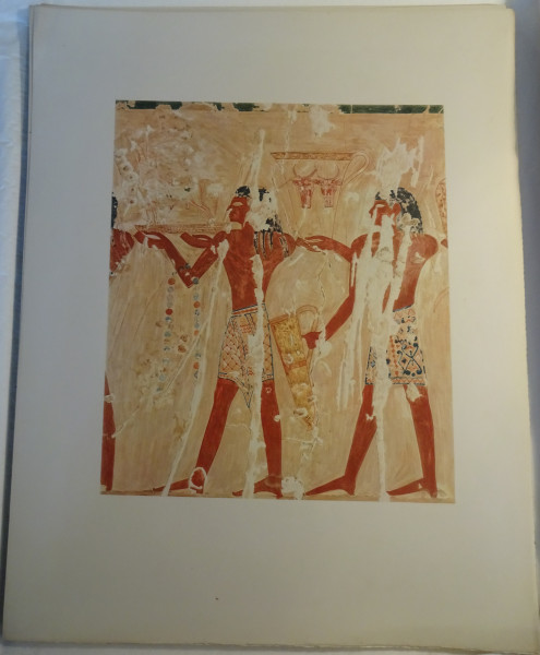 image FDA-E.3055_66-2018