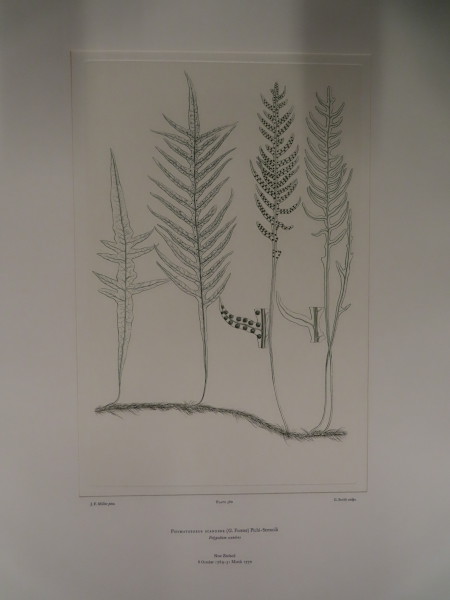 image FDA-E.2916_27_22-2016-A