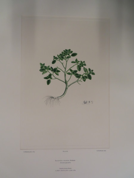 FDA-E.2916_31_14-2016 image FDA-E.2916_31_14-2016