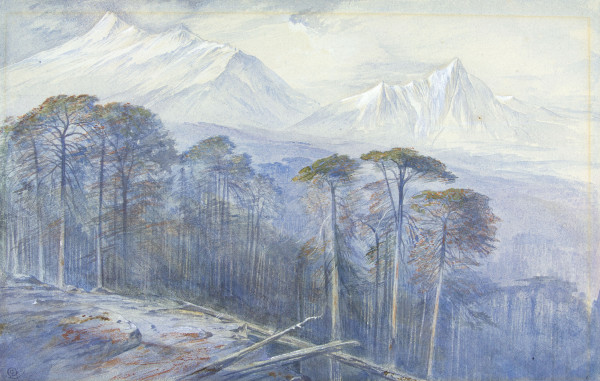 FDA-D.325-2010 image FDA-D.325-2010