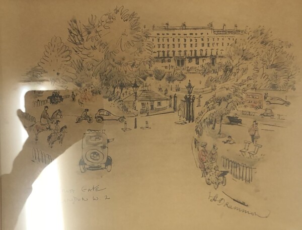 FDA-D.1751-2024 image FDA-D.1751-2024