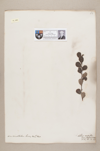 NHM_HH_10.81-2010 image NHM_HH_10.81-2010