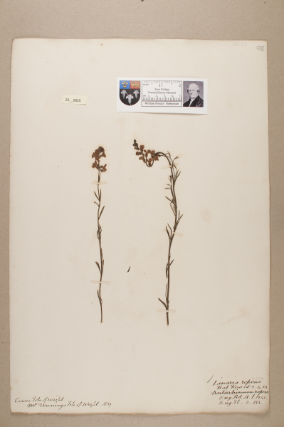 NHM_HH_25.25-2010 image NHM_HH_25.25-2010