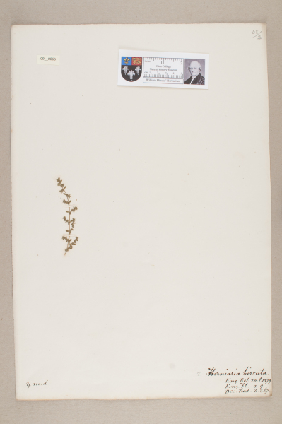 NHM_HH_9.66-2010 image NHM_HH_9.66-2010