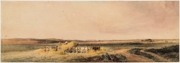 FDA-D.550-2010-cr image FDA-D.550-2010-cr