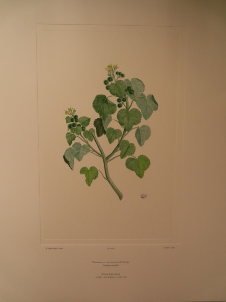 image FDA-E.2916_28_11-2016-A