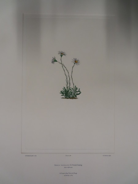 image FDA-E.2916_33_17-2016