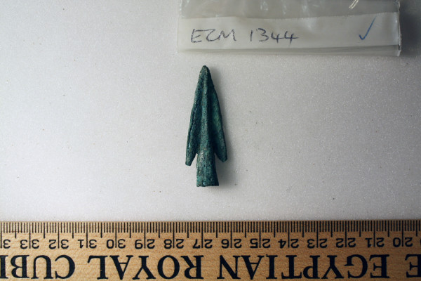 ECM.1344-2010-A image ECM.1344-2010-A