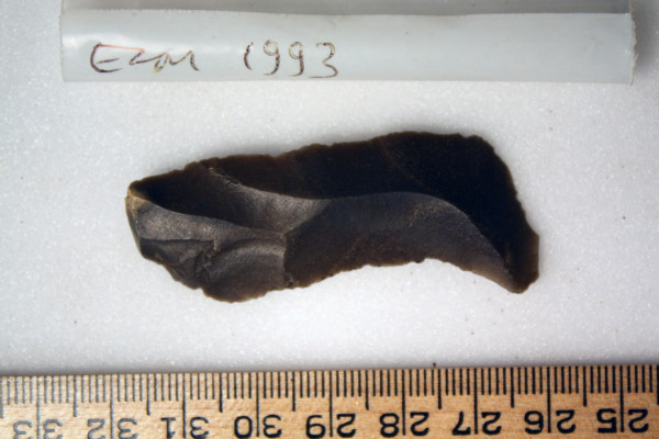 ECM.1993-2010-A image ECM.1993-2010-A