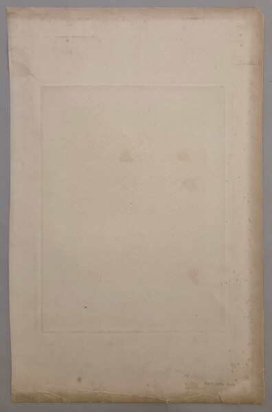 FDA-E.3390-2026-B image FDA-E.3390-2026-B