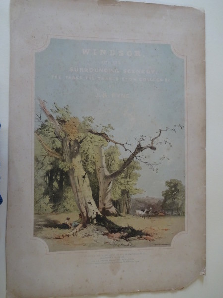 FDA-E.2835_1-2016 image FDA-E.2835_1-2016