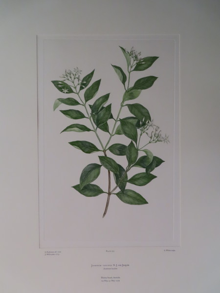 image FDA-E.2916_10_4-2016