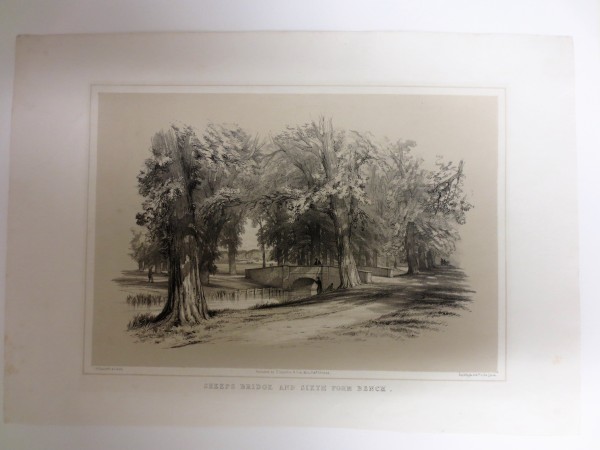 FDA-E.1894-2015 image FDA-E.1894-2015