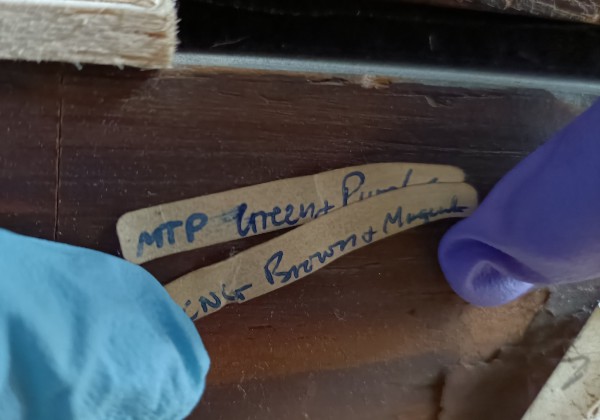 FDA-P.383-2010-I image FDA-P.383-2010-I