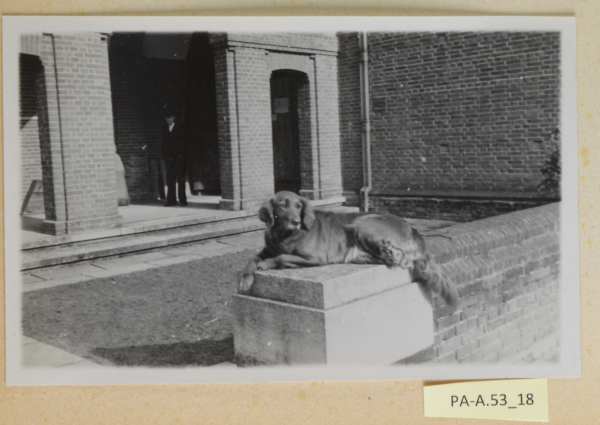 PA-A.53_18-2013 image PA-A.53_18-2013