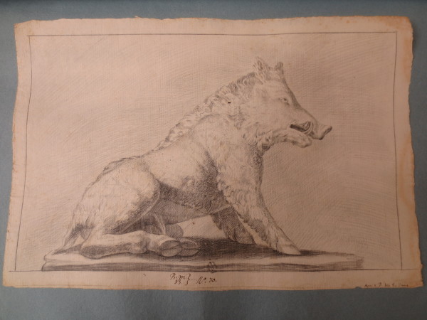 ECL-Bm.13_30-2013 image ECL-Bm.13_30-2013