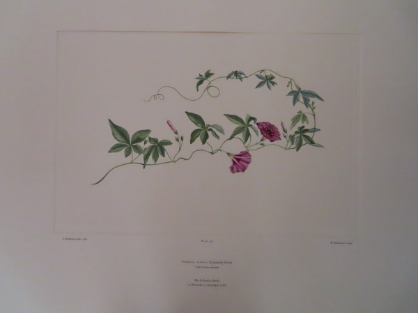 image FDA-E.2916_16_18-2016-A