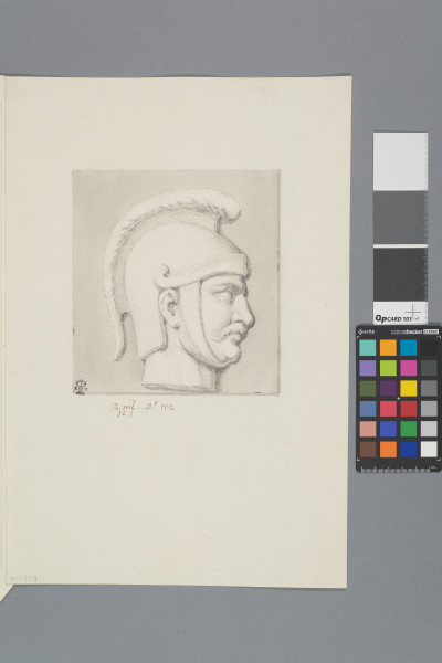 ECL-Bm.12_102-2013-A image ECL-Bm.12_102-2013-A