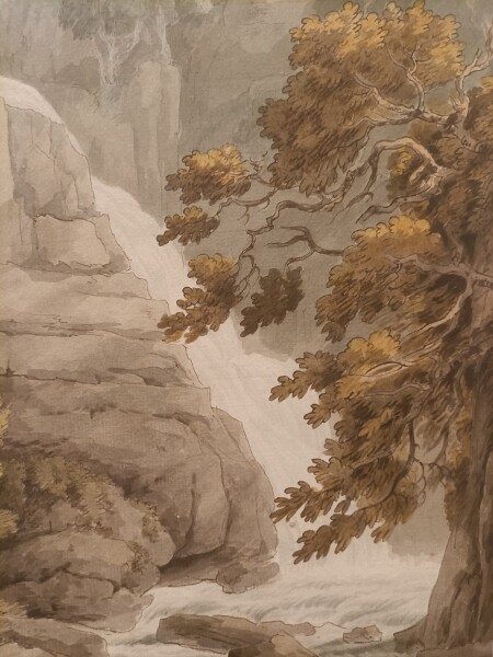 FDA-D.505-2010-A image FDA-D.505-2010-A