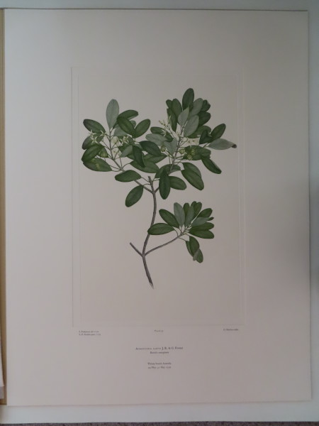 FDA-E.2916_2_18-2016 image FDA-E.2916_2_18-2016