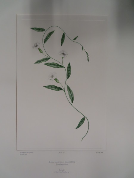 image FDA-E.2916_18_5-2016