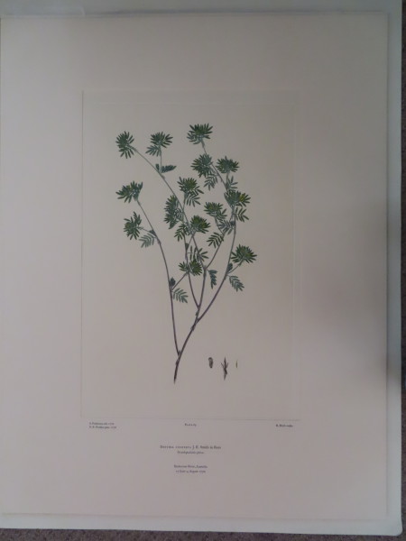 image FDA-E.2916_4_5-2016