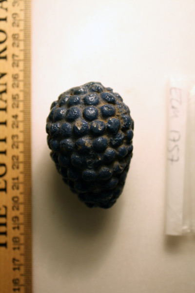 ECM.1757-2010-C image ECM.1757-2010-C