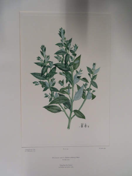 image FDA-E.2916_21_19-2016-A