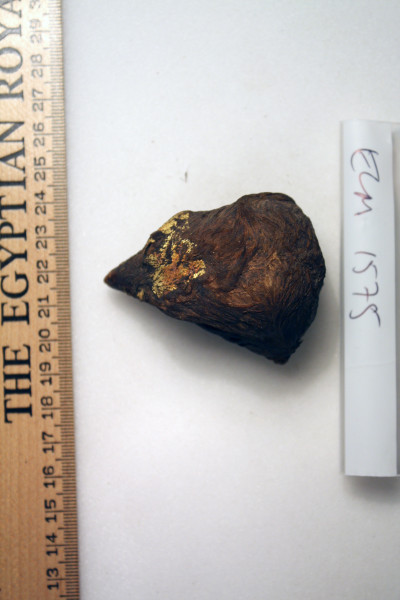 ECM.1575-2010-B image ECM.1575-2010-B