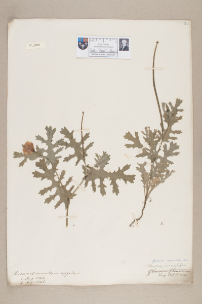 NHM_HH_7.102-2010 image NHM_HH_7.102-2010