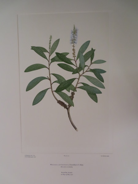 image FDA-E.2916_6_8-2016