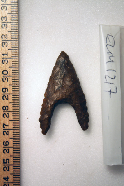 ECM.1217-2010-A image ECM.1217-2010-A